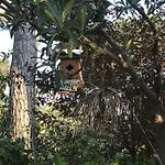 Ferienhaus Con Encanto La Batlloria